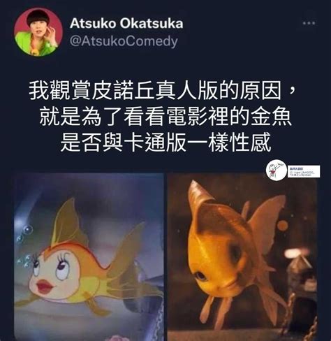 金魚梗圖